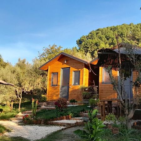 Bujtina Musta Casa de hóspedes Berati Exterior foto