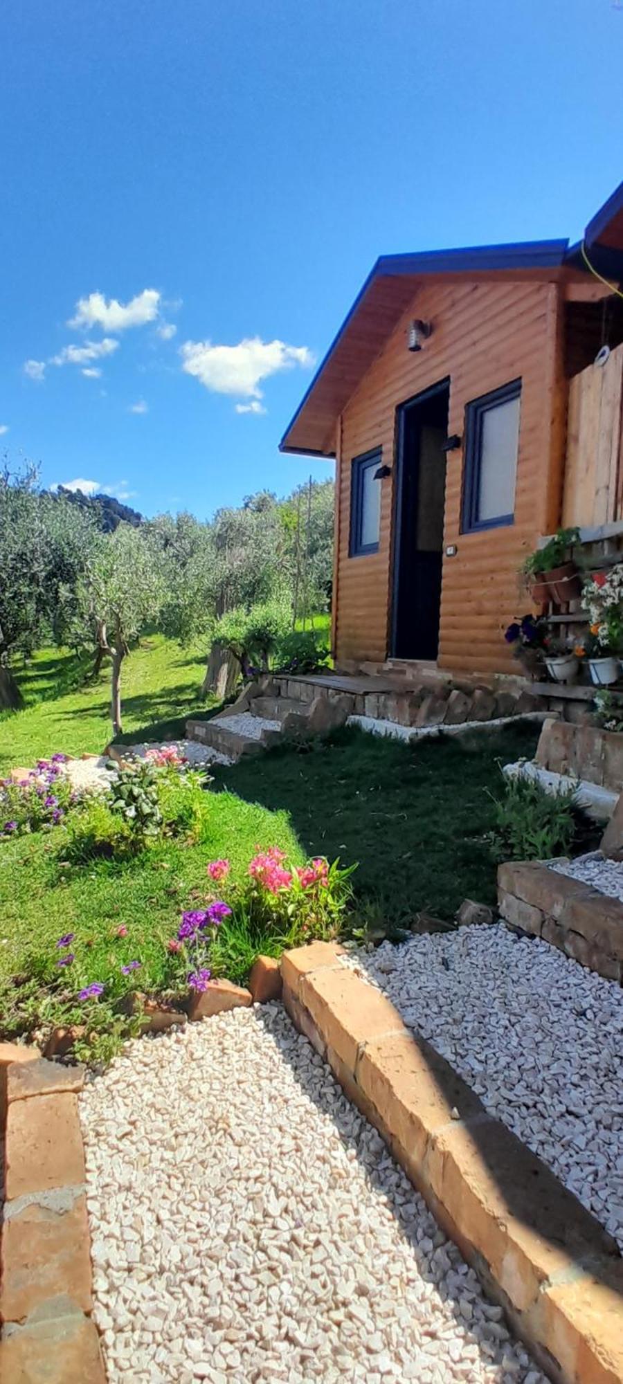 Bujtina Musta Casa de hóspedes Berati Exterior foto
