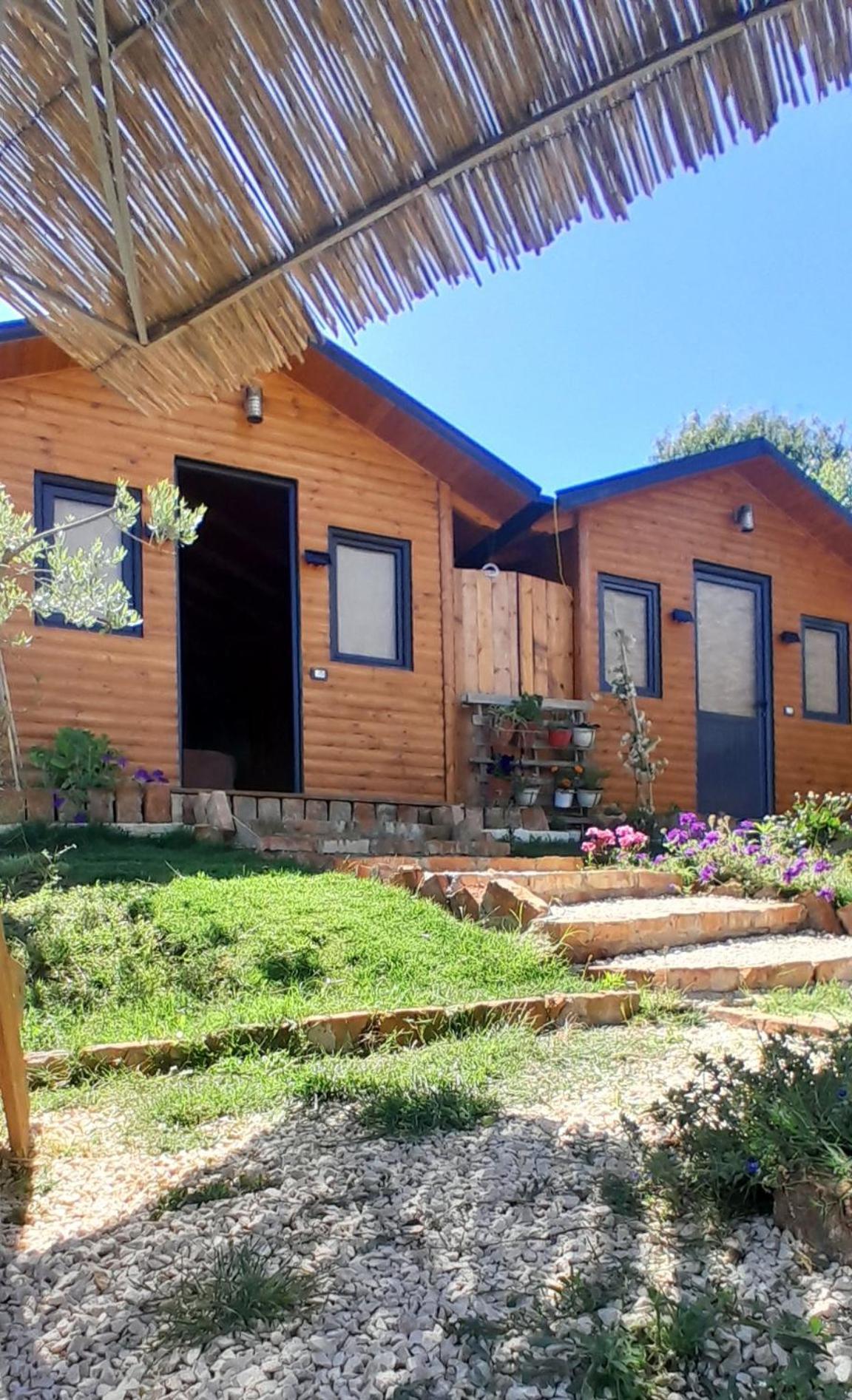 Bujtina Musta Casa de hóspedes Berati Quarto foto